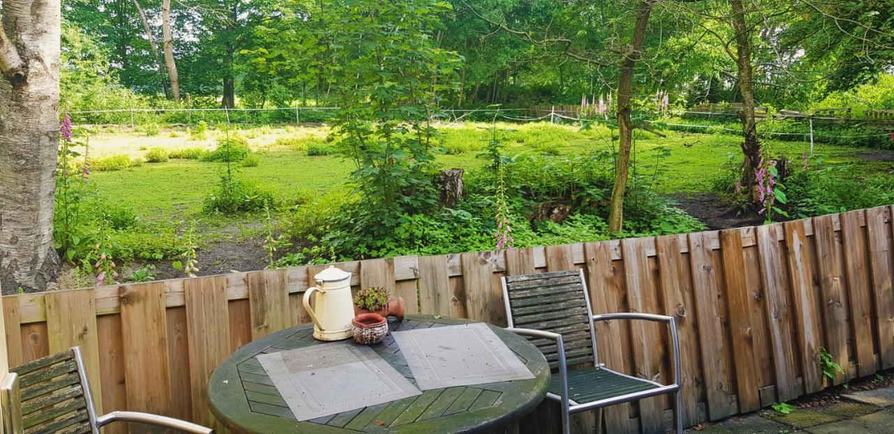 Rust En Stilte In De Natuur Onstwedde Exteriér fotografie