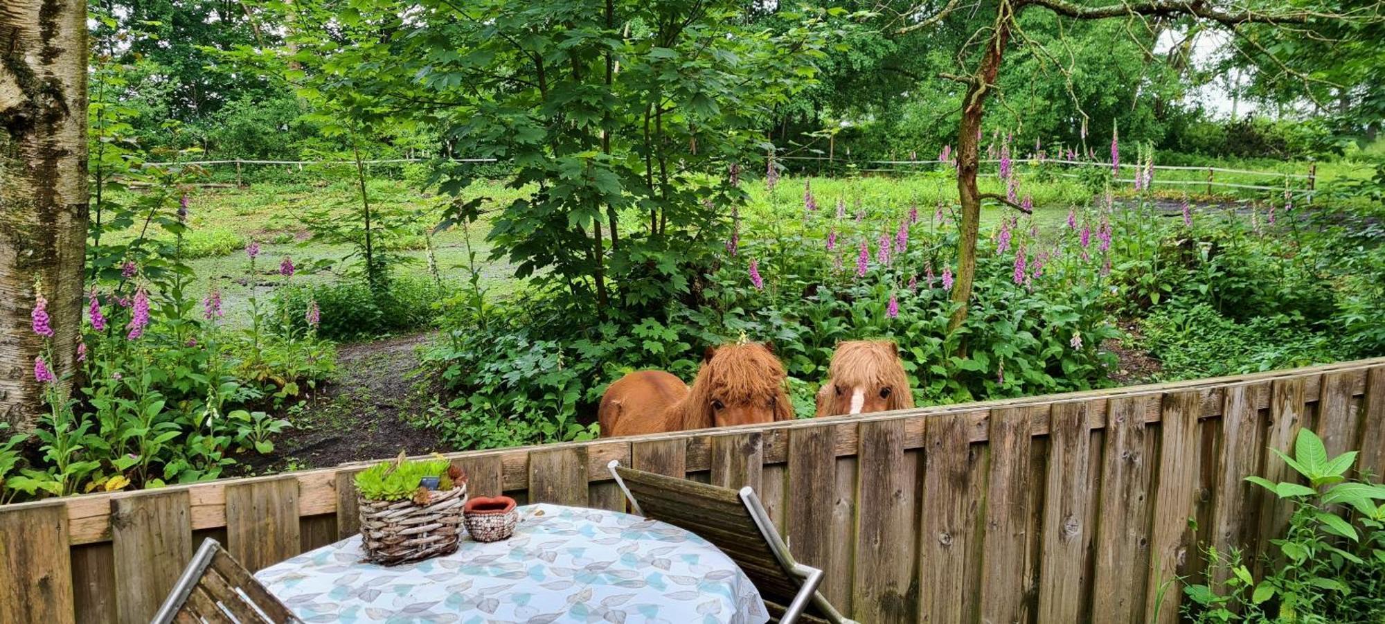 Rust En Stilte In De Natuur Onstwedde Exteriér fotografie
