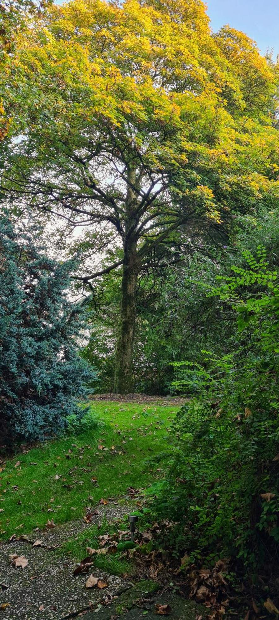 Rust En Stilte In De Natuur Onstwedde Exteriér fotografie